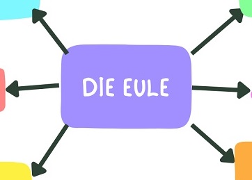 der die das german articles die Eule 300x450