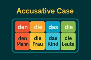 Accusative Case in German Free Interactive Trainer